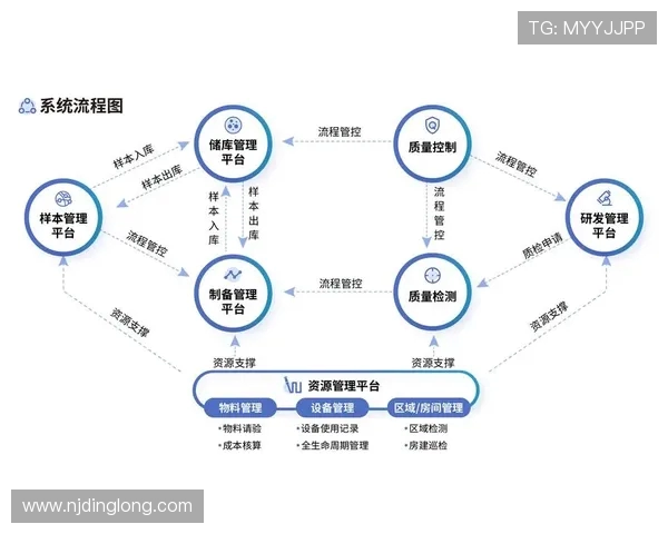 上海网球队防守革新之路探索与实践的深度分析与展望