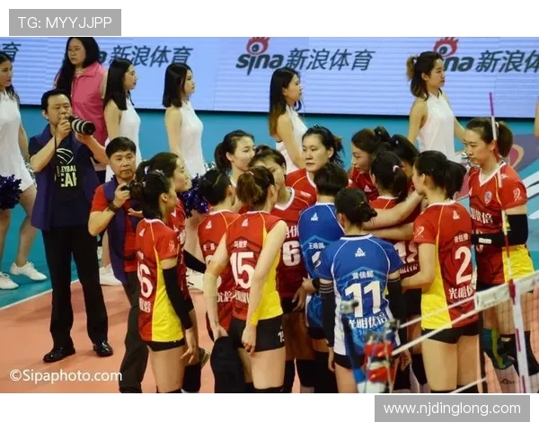 上海排球队实力分析及其在联赛中的表现评估 上海排球队实力分析及其在联赛中的表现评估