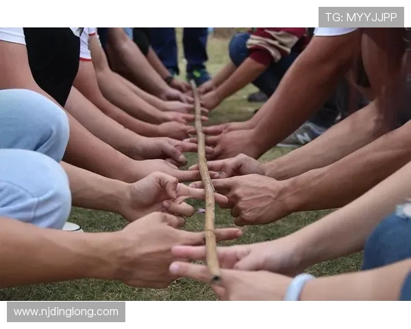 上海乒乓球队的团队协作精神与成功之路探讨 上海乒乓球队的团队协作精神与成功之路探讨