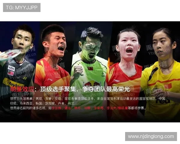 上海羽毛球队比赛经验分析与数据洞察探讨