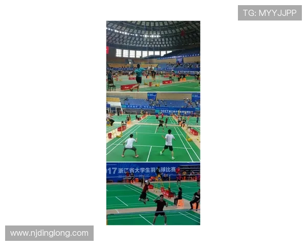 北京羽毛球队技术解析：从训练方法到比赛策略的全面探讨