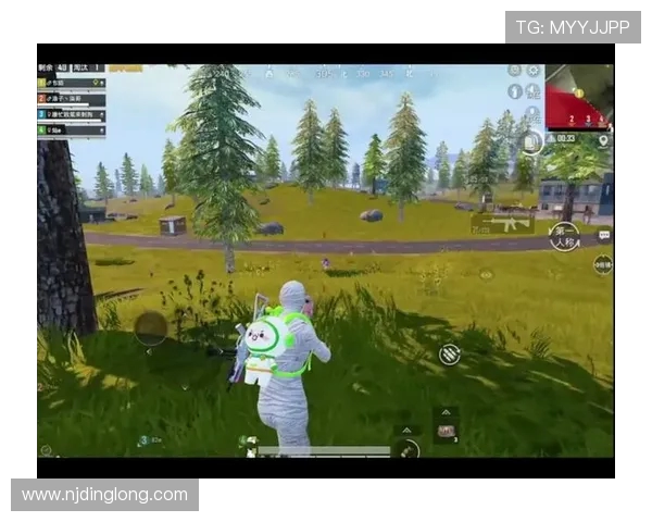 和平精英V5战队奋斗历程全景回顾与成长启示