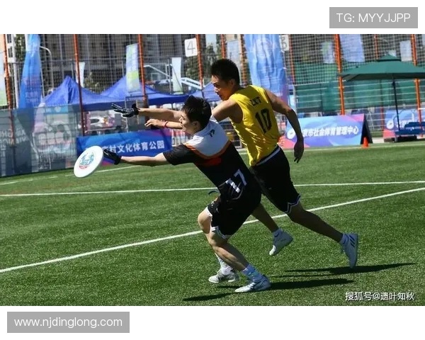 聚焦飞盘运动:探秘北京飞盘队的实力与团队精神