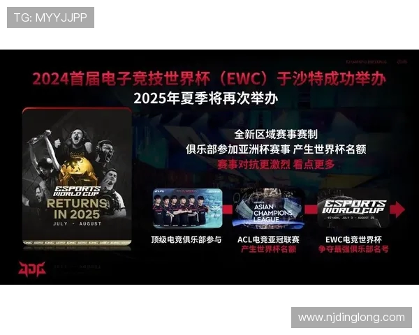 英雄联盟深度解析：全面剖析JDG战队选手的个人能力与战术执行