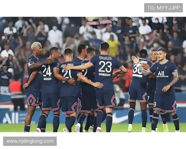 2012年欧洲足球预选赛瑞典对阵荷兰精彩对决回顾与分析