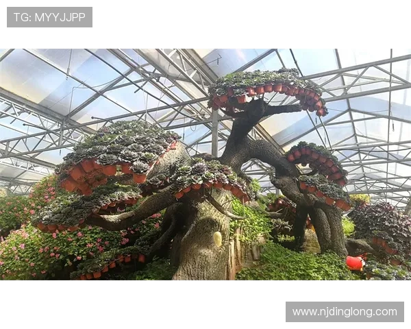 探索摩尔特里:揭示这座城市的历史魅力与现代发展之路