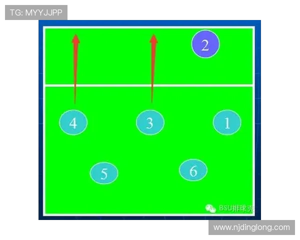 武汉排球队防守战术深度解析与实战应用探讨 武汉排球队防守战术深度解析与实战应用探讨