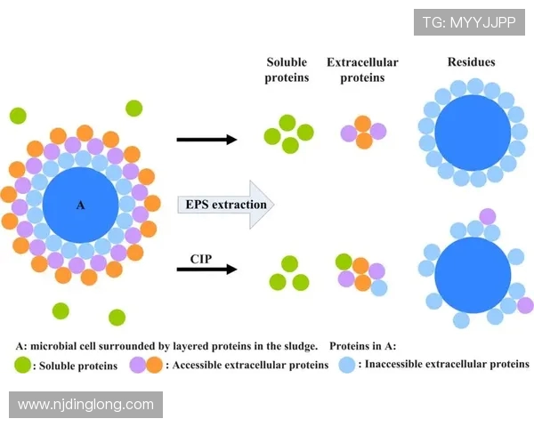 武汉街舞队的文化认同与团队意识研究探讨