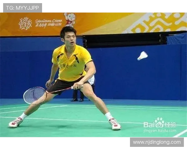 深入分析北京羽毛球队区域防守战术的优势与应用