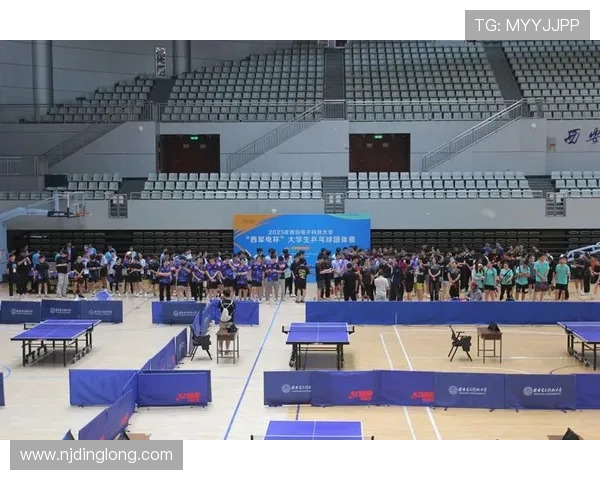 西安乒乓球队的速度之美与技术探秘乒乓球运动的魅力与发展