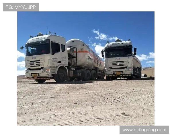 LNG在挑战者杯中的灵活性表现分析与战术解读