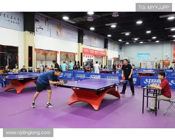 乒乓球专题：深入探讨杭州乒乓球队默契配合与战术协作的成功之道